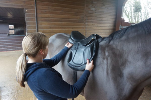 Learn more about The Saddle Bank online academy courses Photograph of a lady checking the saddle on a horse.