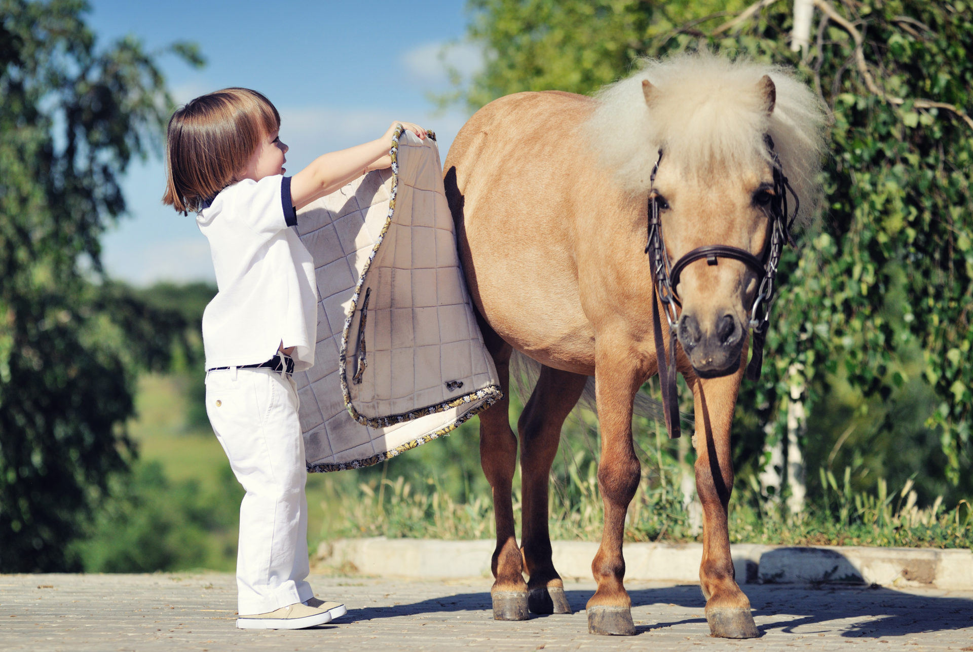 Get started with a career in horse management and saddle fitting Photograph of a child and a horse