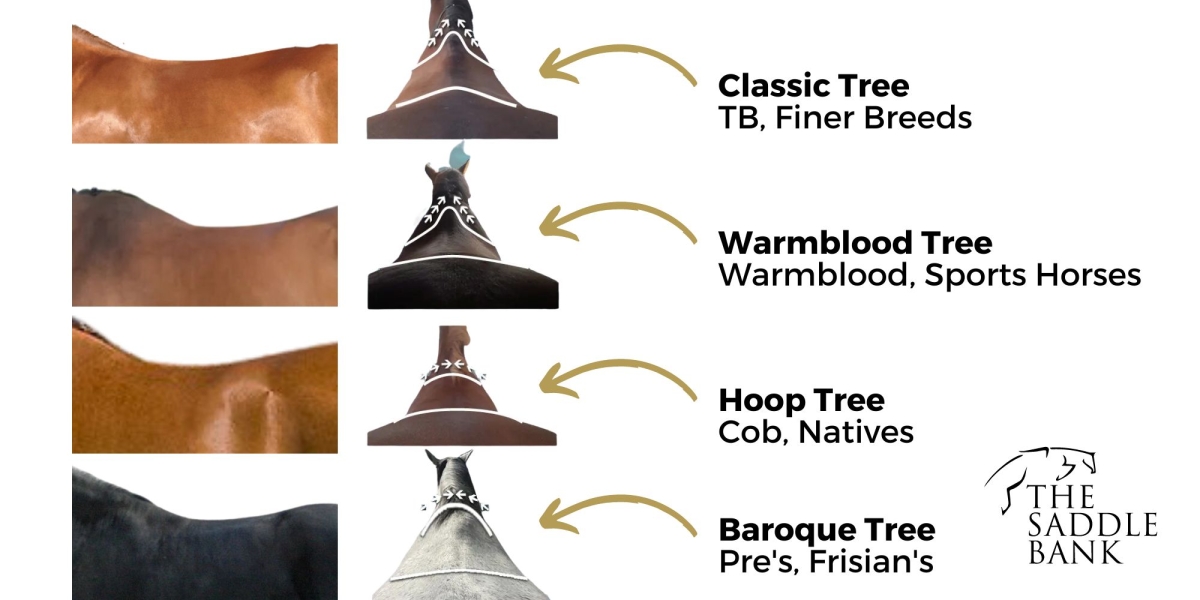 Loxley Saddle Trees