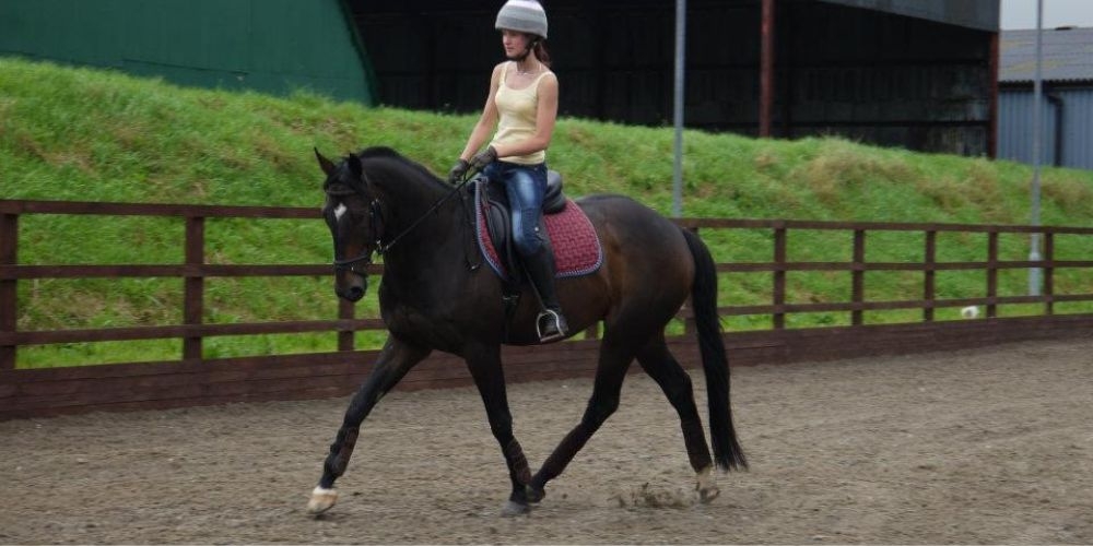 thoroughbred saddle