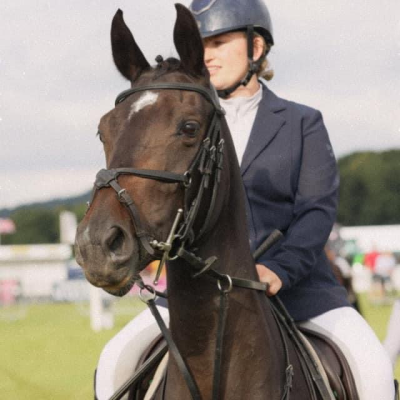 Image of Evo Equine Victor Grackle Bridle