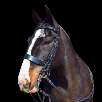 Image of Evo Equine Classic Hunter Double Bridle