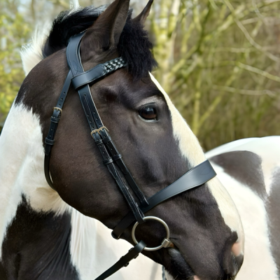 Image of Evo Equine Spartan Hunter Bridle