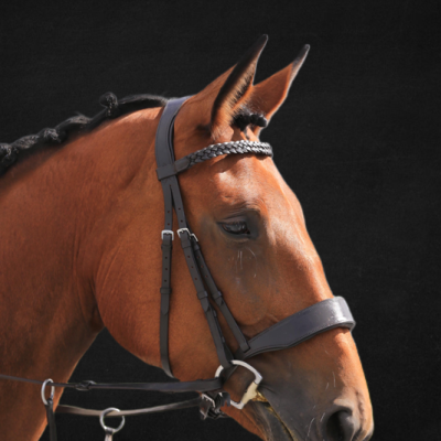 Image of Evo Equine Deluxe High Bit Clearance Hunter Bridle
