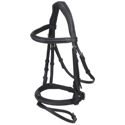 Image of GFS Transition Combi Flash Bridle