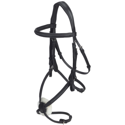 Image of GFS Transition Grackle Bridle