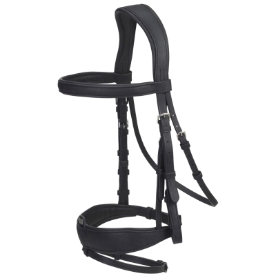 Image of GFS Transition Combi Dressage Bridle